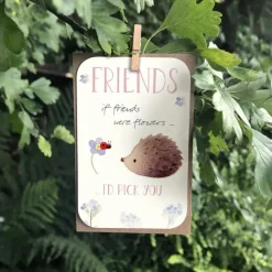 Ginger Betty "Friends- I'd Pick You" Keepsake Card- Greeting Cards