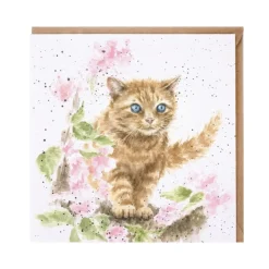 Wrendale Designs "Marmalade Cat" Greetings Card- Greeting Cards