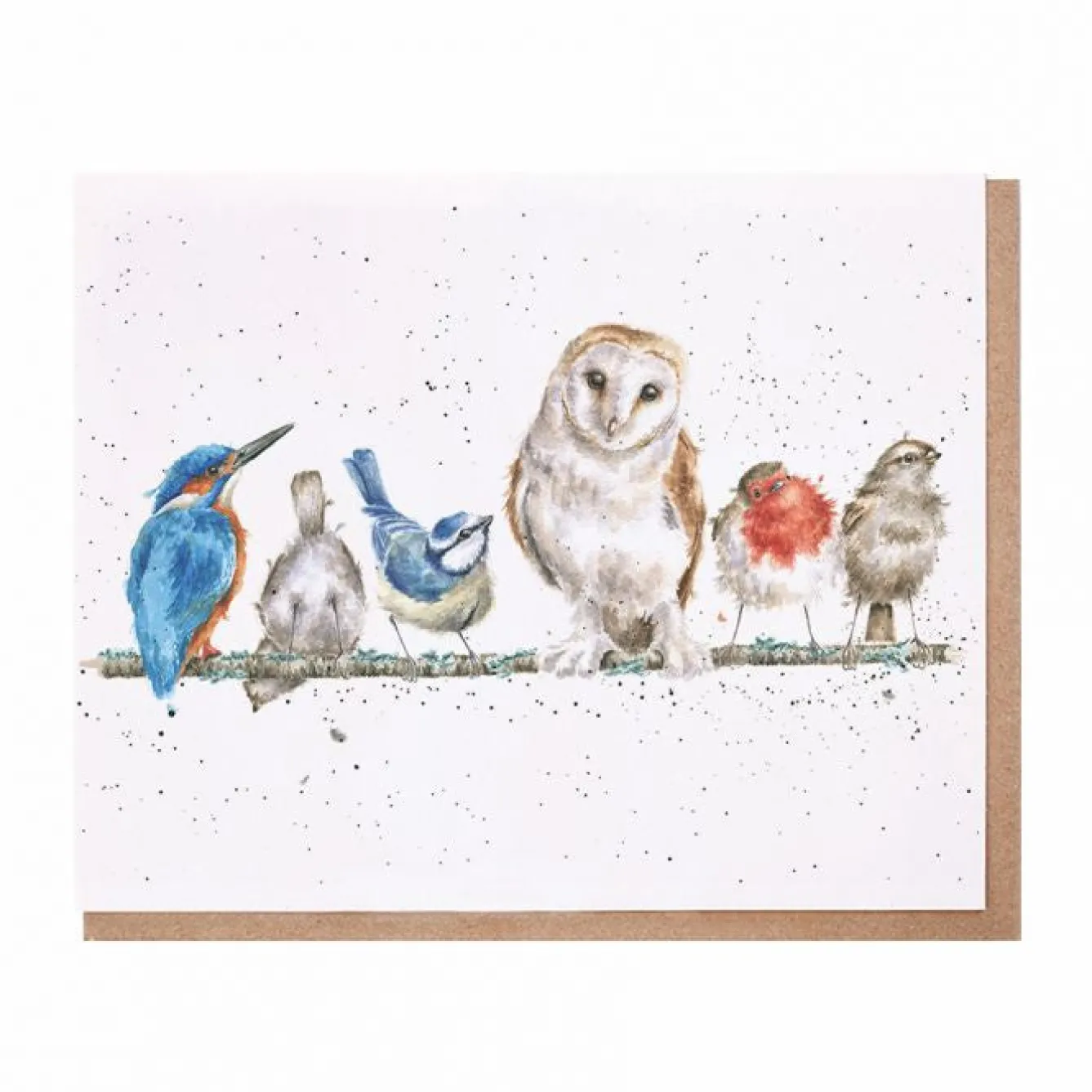 Wrendale Designs "Variety of Life" Bird Greetings Card- Greeting Cards