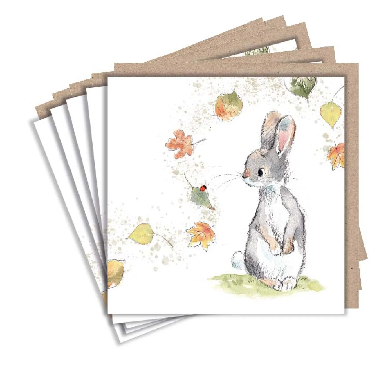 Paper Shed Design Rabbit and Leaves Set of 5 Notecards- Greeting Cards