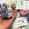 Bergin & Bath Rabbits Needle Felting Kit- Crafts