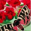Madame Treacle Red Pop Up Greeting Card with Butterfly- Greeting Cards