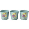 Burgon & Ball RHS Asteraceae Set of 3 Herb pots- Gardening|Gardening