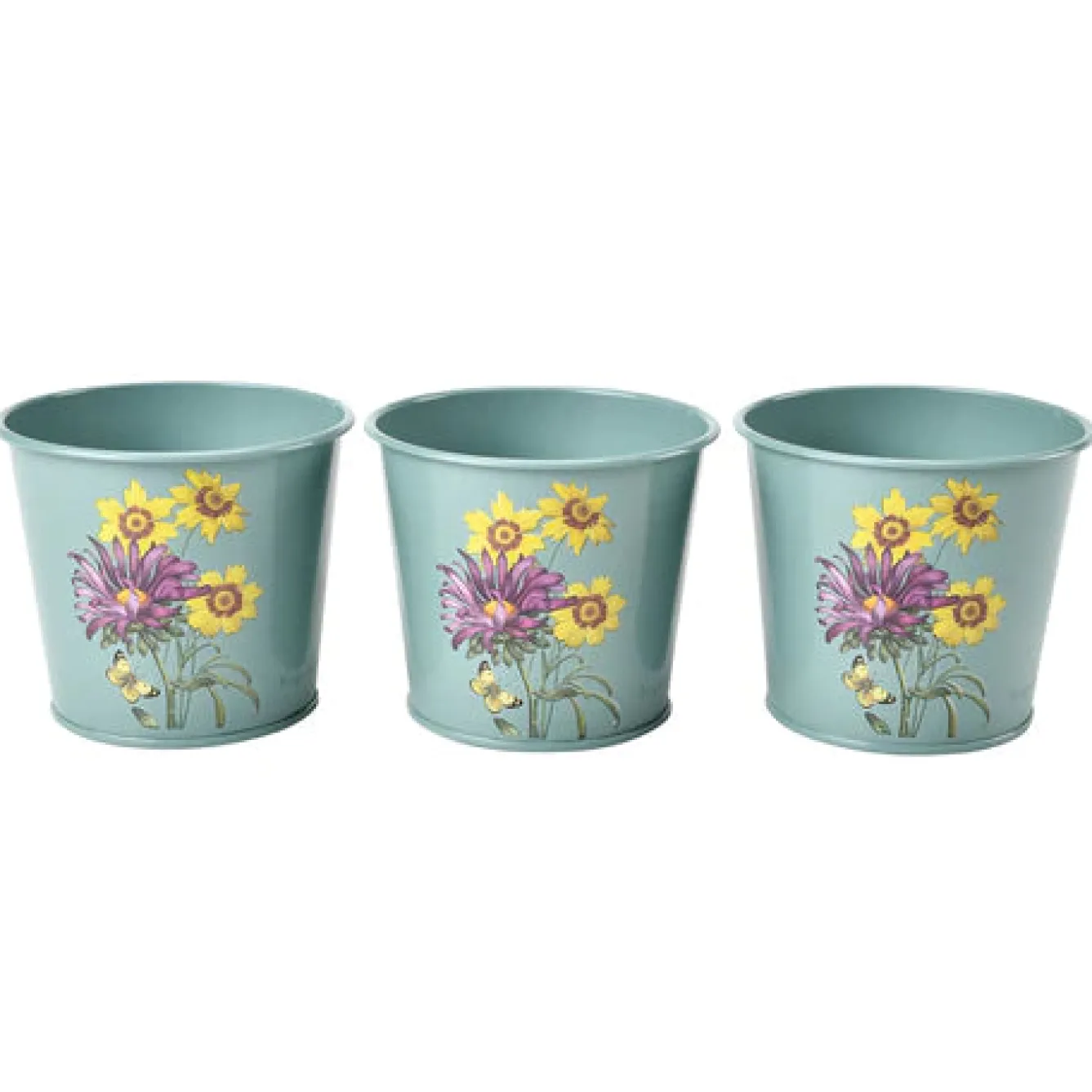 Burgon & Ball RHS Asteraceae Set of 3 Herb pots- Gardening|Gardening