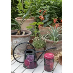 Burgon & Ball RHS British Bloom Indoor Watering Can- Gardening