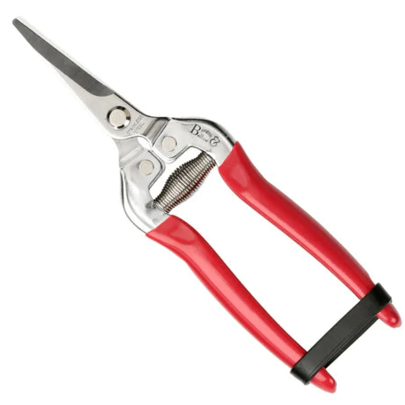 Burgon & Ball RHS British Bloom Snip and Holster Set- Gardening