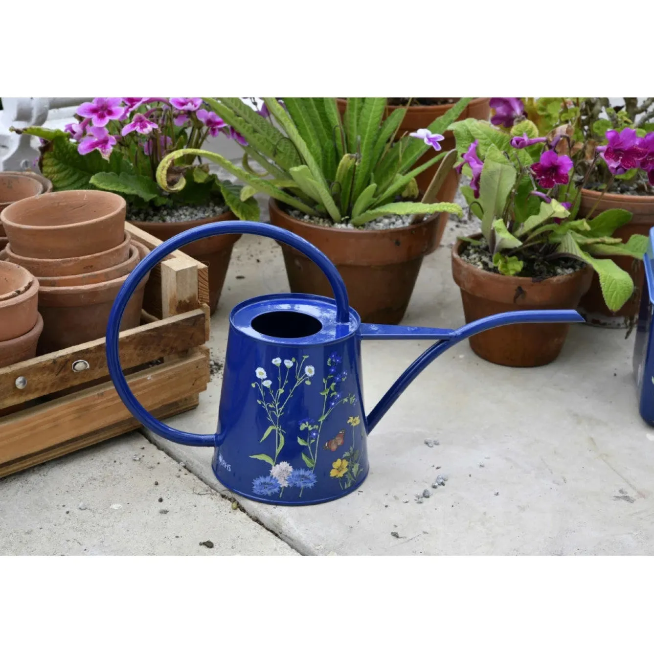 Burgon & Ball RHS British Meadow Indoor Watering Can- Gardening