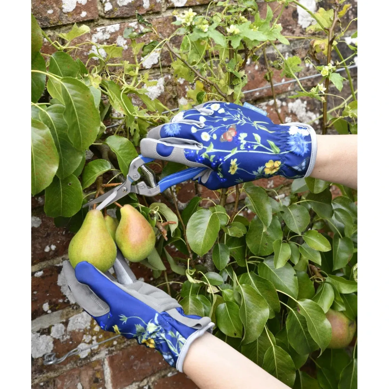 Burgon & Ball RHS British Meadows Gardening Gloves- Gardening