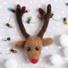 Hawthorn Handmade Rudolph Brooch Felting Kit- Crafts