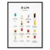 Everlong Print Co. Rum Cocktails Print - Framed- Art