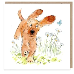 Paper Shed Design Running Cocker Spaniel Greetings Card- Greeting Cards