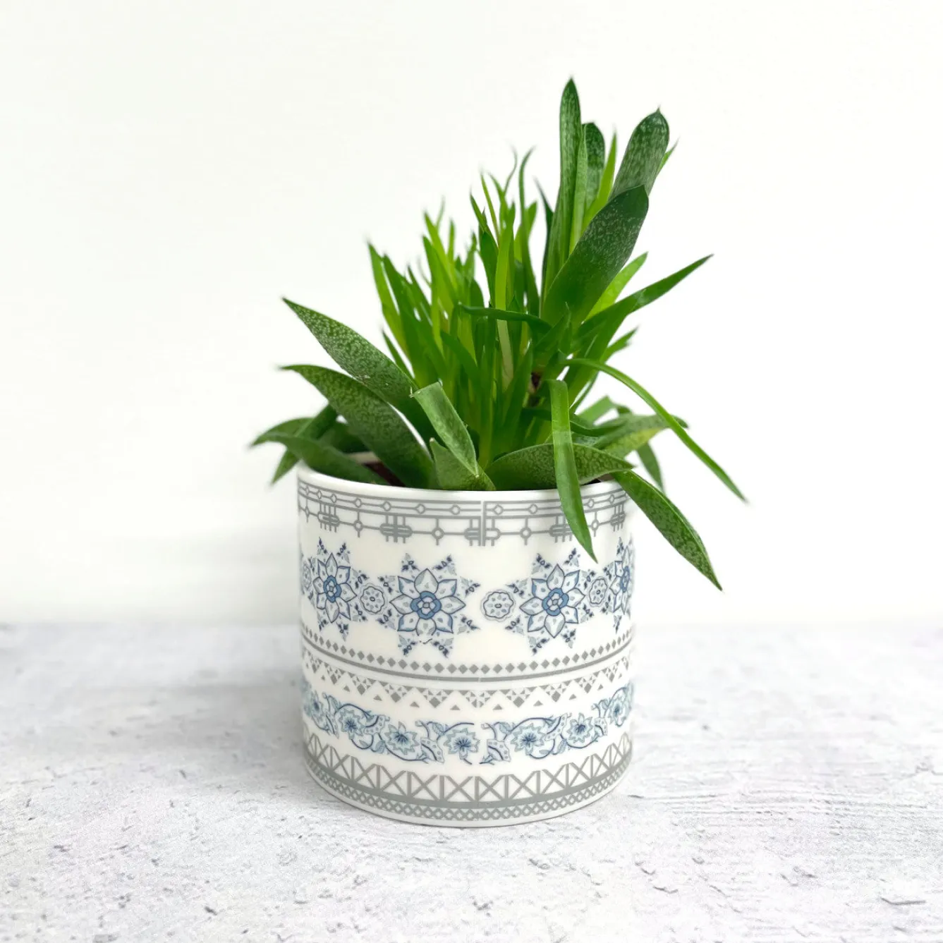 Alex Allday Safflower Ceramic Planter Pot/Tea Light Holder- Tea|Home Fragrance