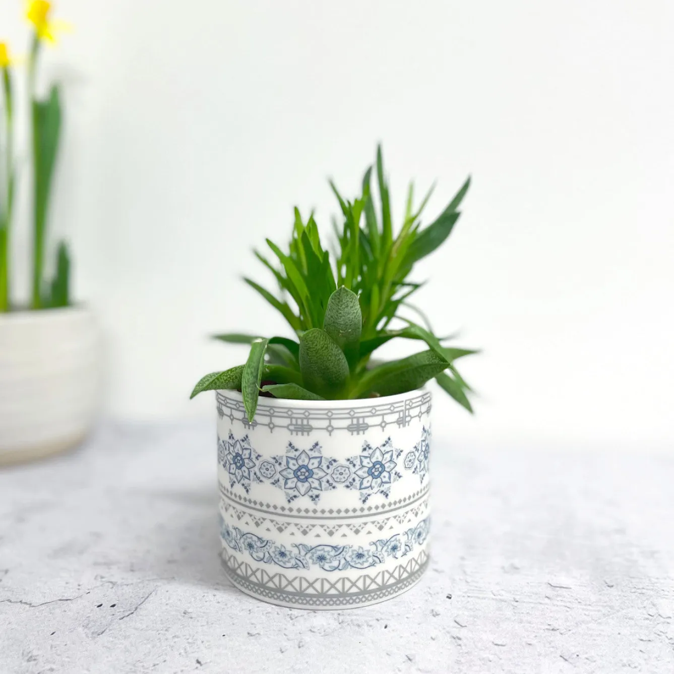 Alex Allday Safflower Ceramic Planter Pot/Tea Light Holder- Tea|Home Fragrance