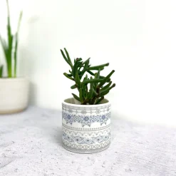 Alex Allday Safflower Ceramic Tea Light Holder- Tea|Home Fragrance