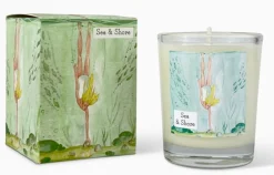 Heaven Scent Sea & Shore Votive Candle - Diving for Shells- Home Fragrance