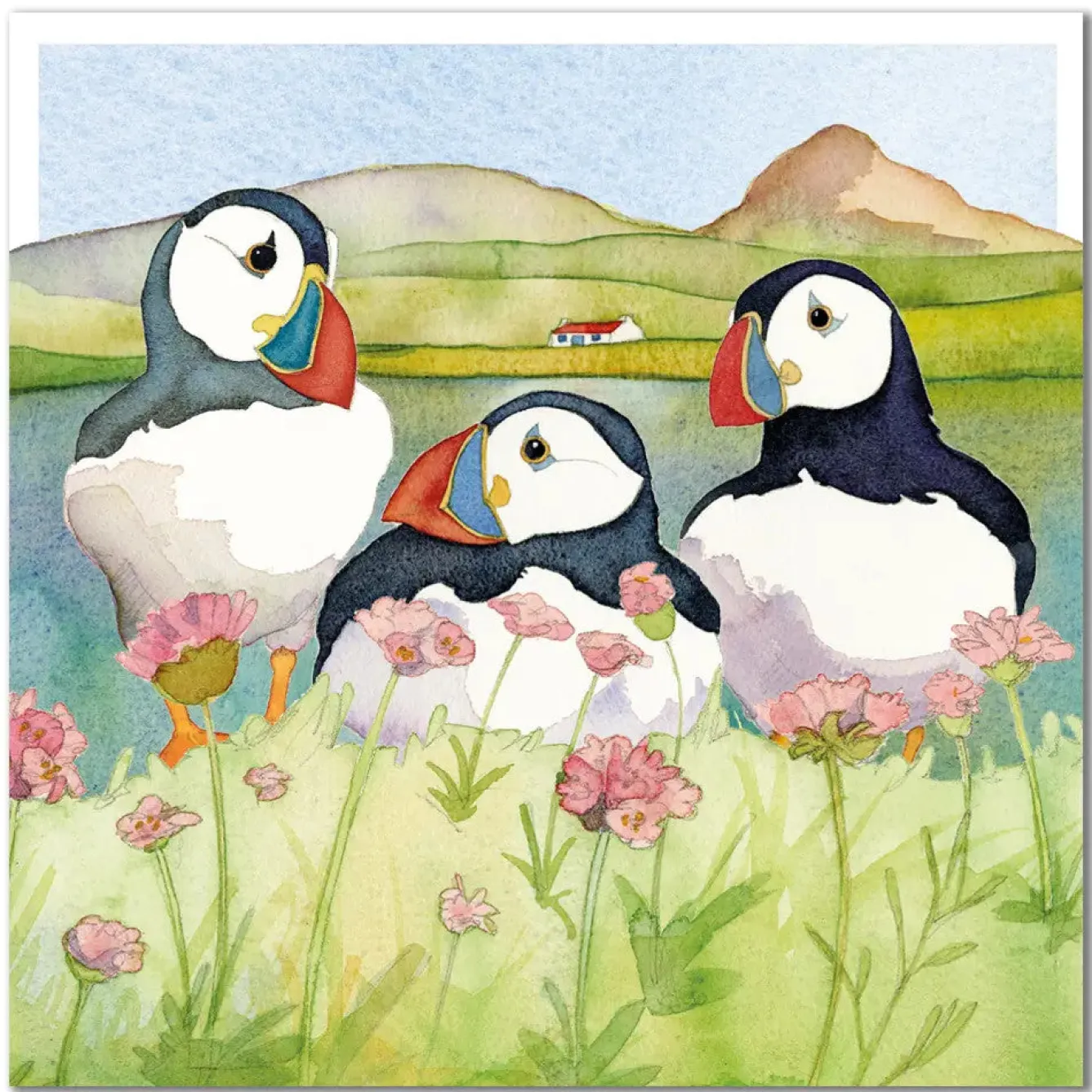 Emma Ball Sea Thrift Puffins Greetings Card- Greeting Cards