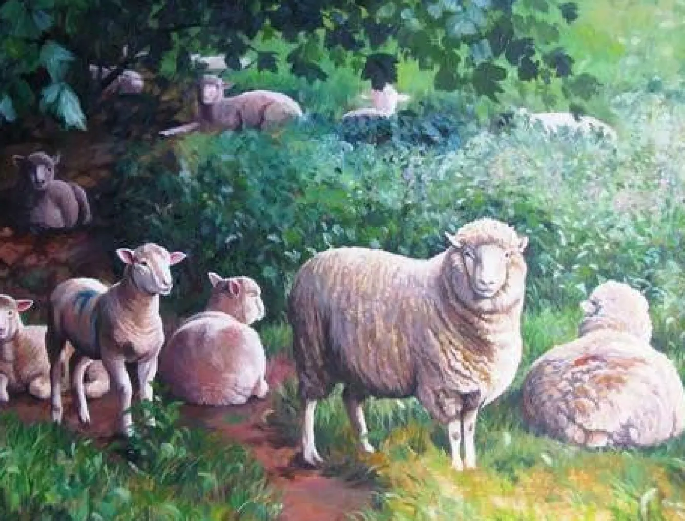 All Jigsaw Puzzles Sheep In Shade 1000 Piece Jigsaw Puzzle- Puzzles|Children