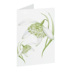 Jane Abbott Designs Snowdrop Greeting Card- Greeting Cards