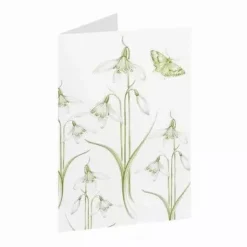 Jane Abbott Designs Snowdrop Little Flowers Greeting Card- Greeting Cards