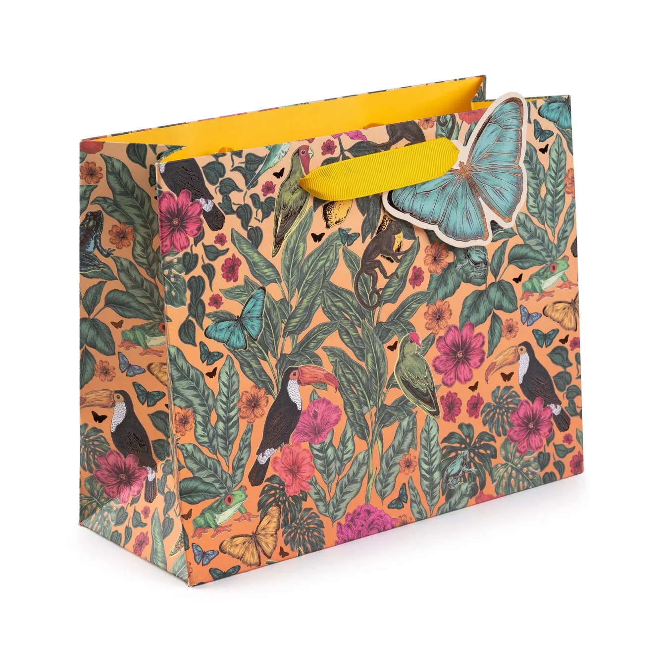 The Art File Soleil Medium Landscape Gift Bag- Stationery