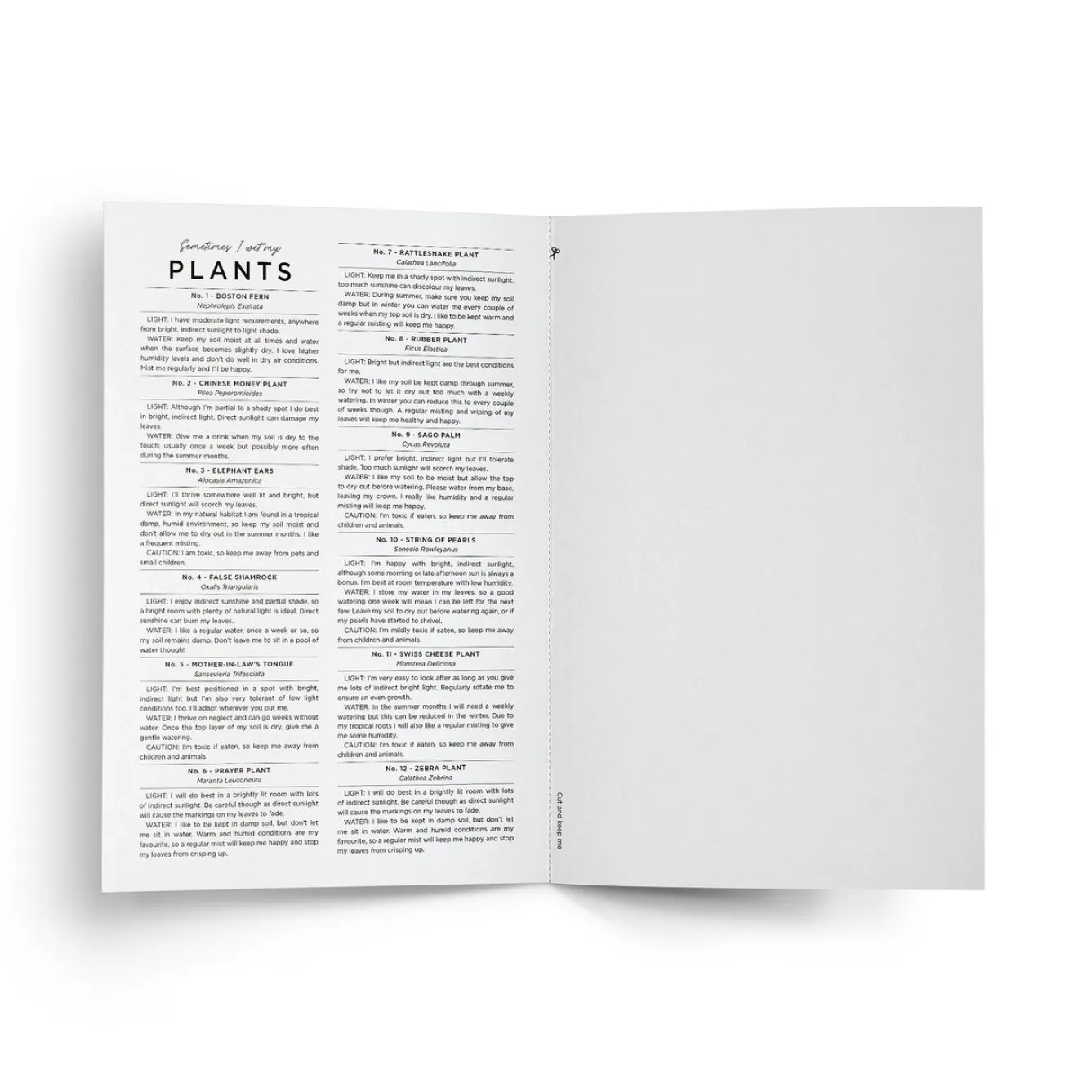 Everlong Print Co. Sometimes I Wet my Plants Card- Greeting Cards