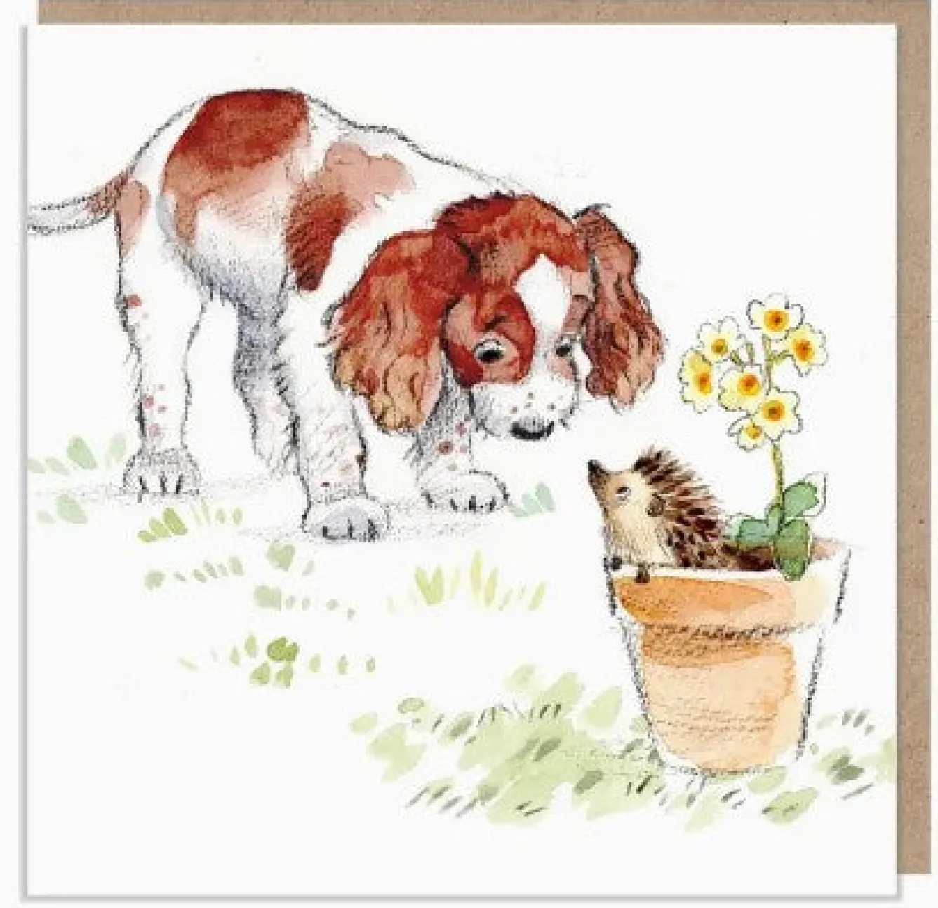 Paper Shed Design Spaniel with Hedgehog Greetings Card- Greeting Cards