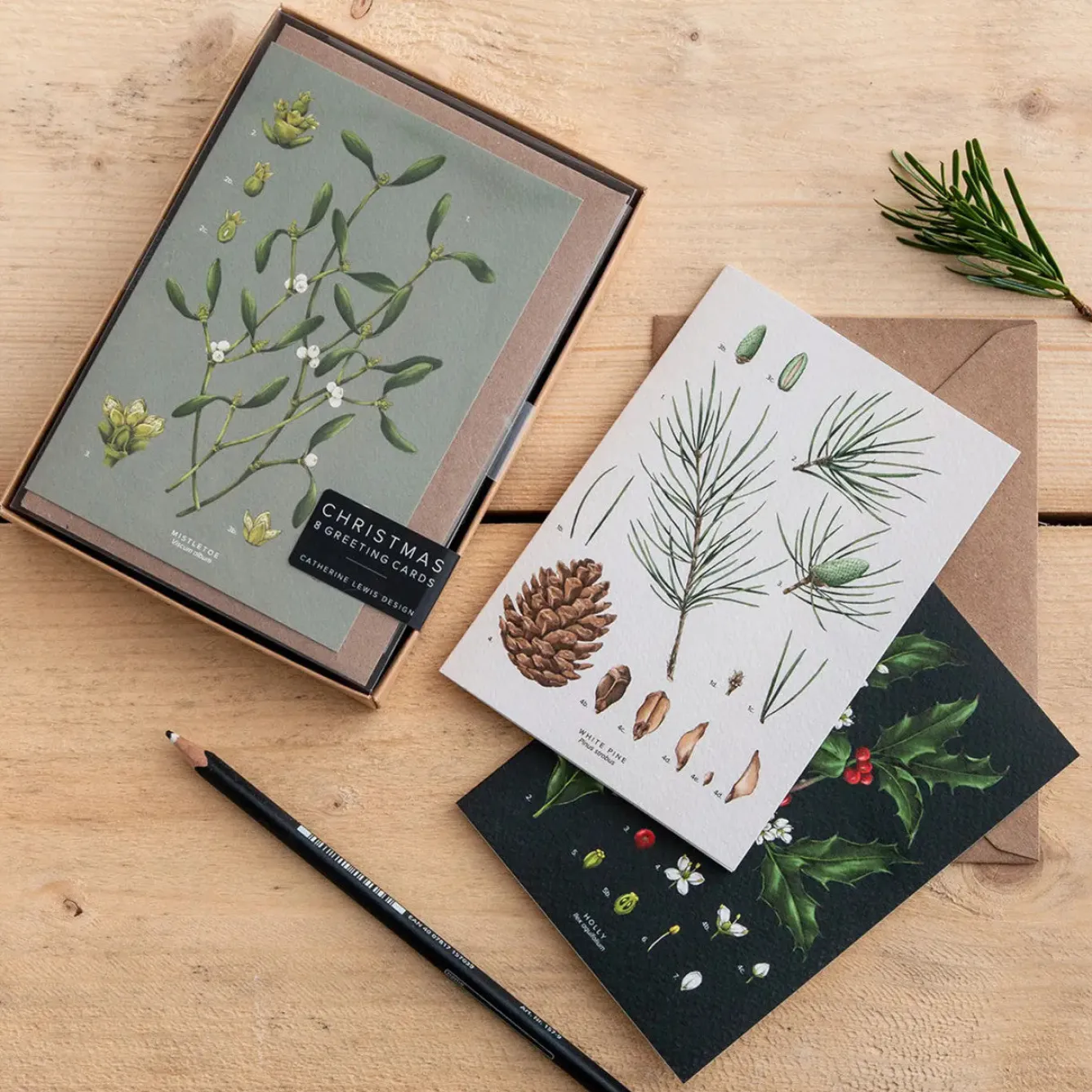 Catherine Lewis Species Range - Box of 8 Luxury Botanical Christmas Cards- Christmas Cards|Christmas