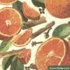 Emma Bridgewater Spiced Oranges Lunch Napkins- Halloween