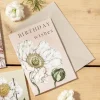 Catherine Lewis Spring Blossom - Birthday Wishes - card- Greeting Cards