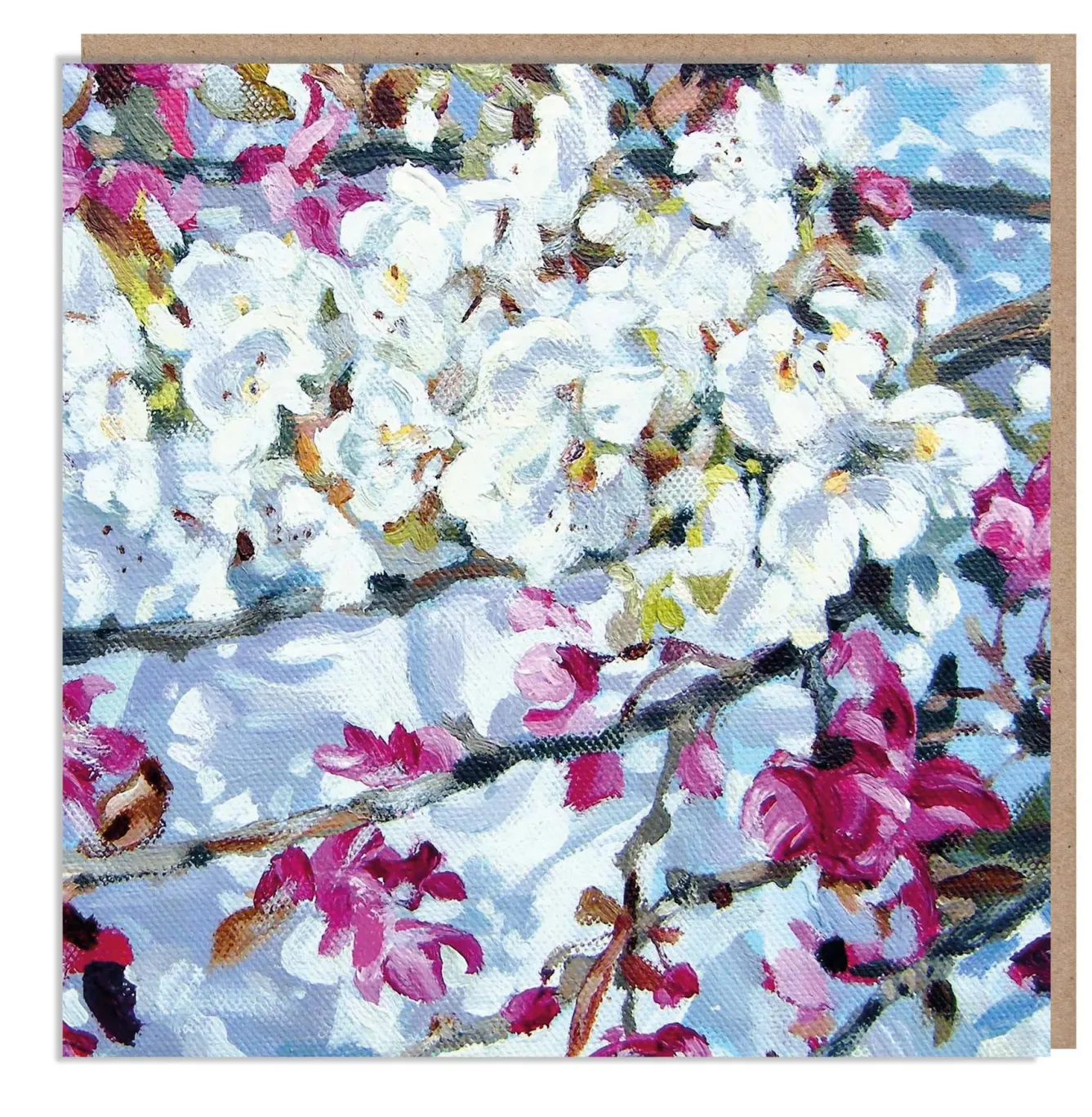 Paper Shed Design Spring Blossoms by Dan O'Brien Greetings Card- Greeting Cards