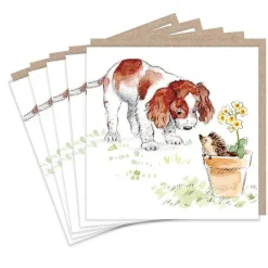 Paper Shed Design Springer Spaniel and Hedgehog Set of 5  Notecards- Greeting Cards