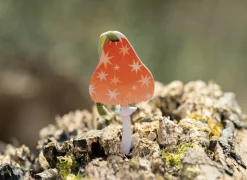 Dapple & Dot Starry Mushroom Wooden Decorations- Christmas