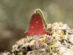 Dapple & Dot Starry Mushroom Wooden Decorations- Christmas
