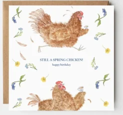 West Country Designs 'Still A Spring Chicken' Birthday Card- Greeting Cards