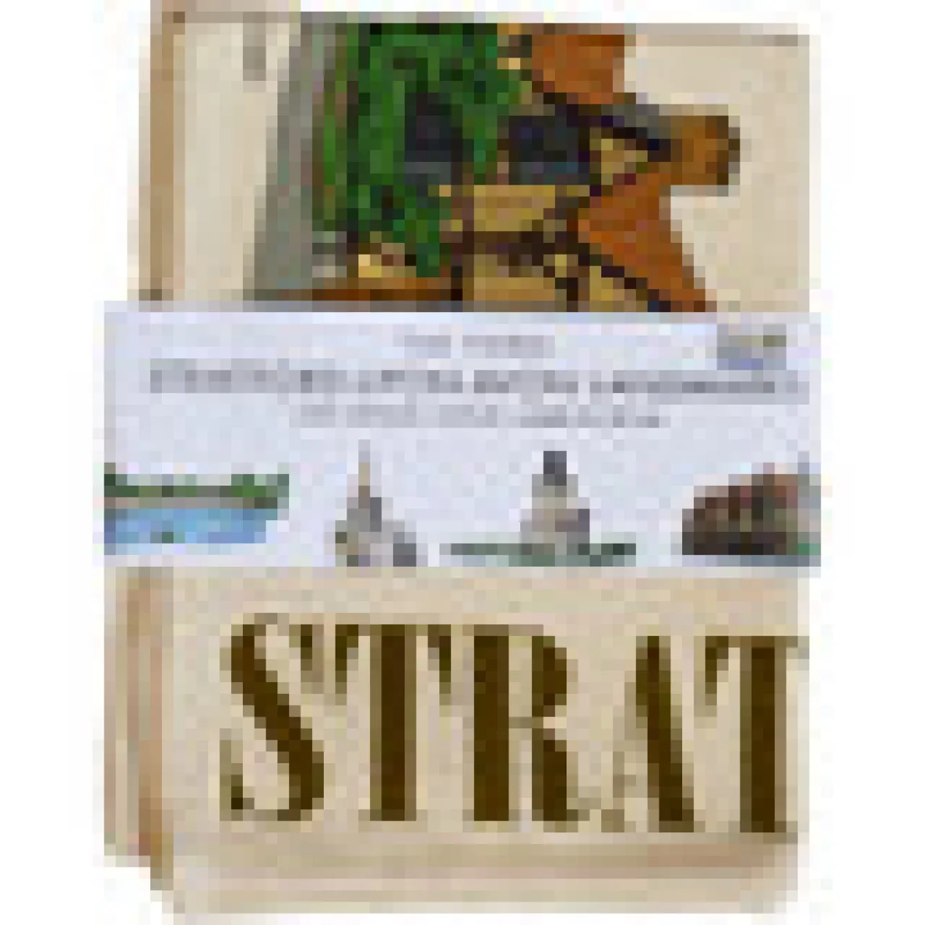 Town Towels Stratford-upon-Avon Landmarks Tea Towel- Tea|Tea Towels