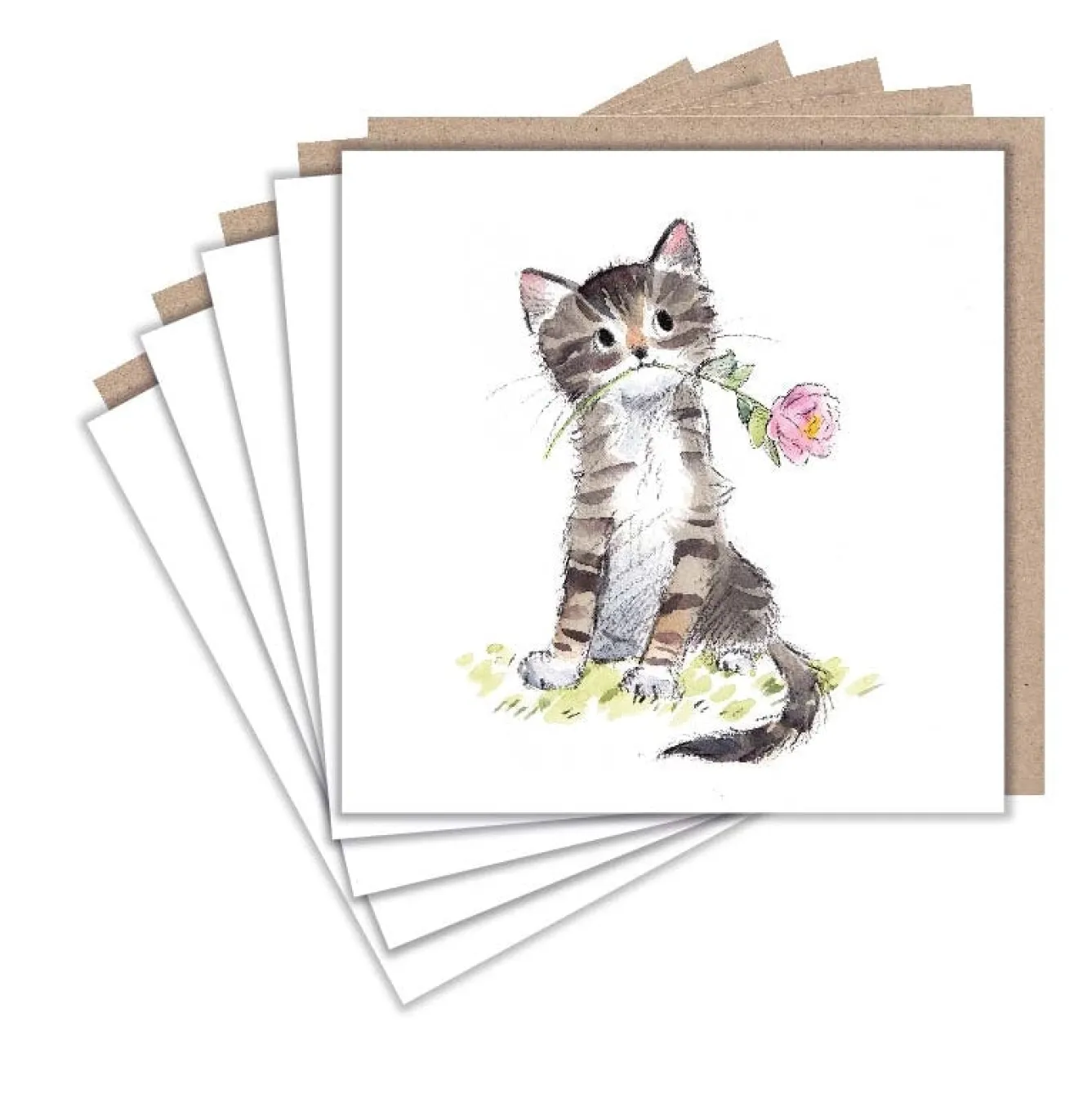 Paper Shed Design Tabby Cat and Flower Set of 5 Notecards- Greeting Cards