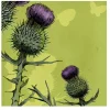 Emma Ball Thistle Greetings Card- Greeting Cards