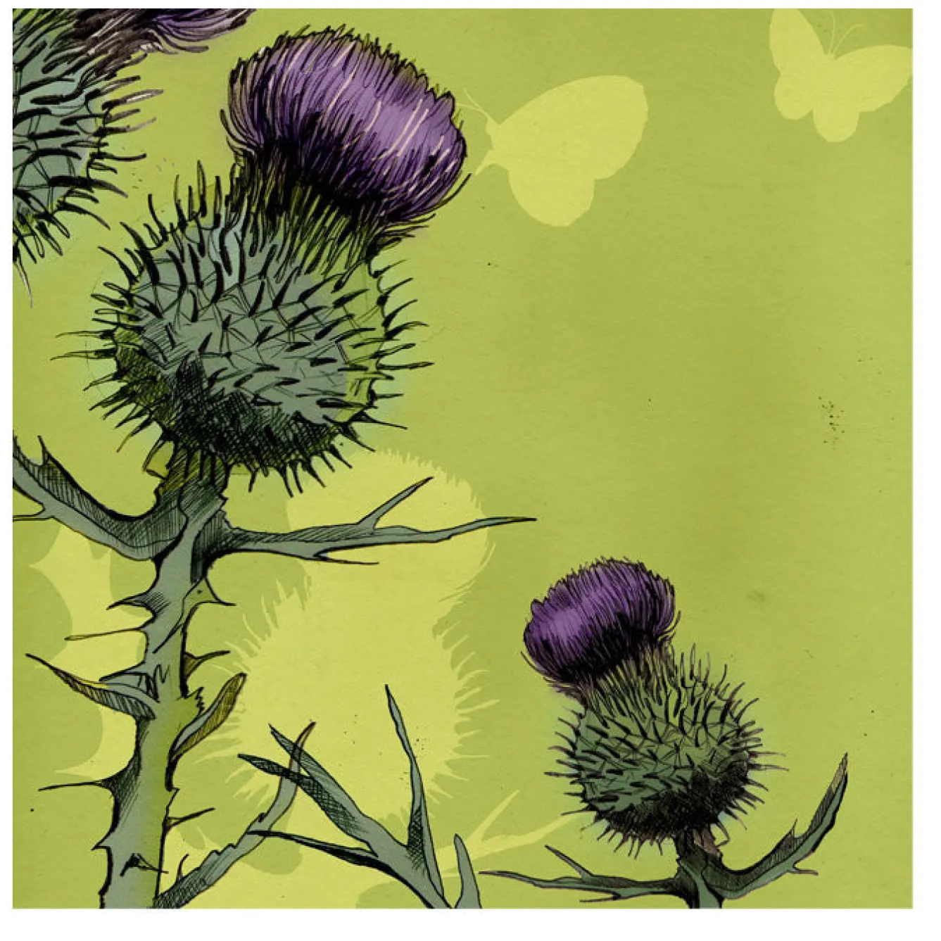 Emma Ball Thistle Greetings Card- Greeting Cards