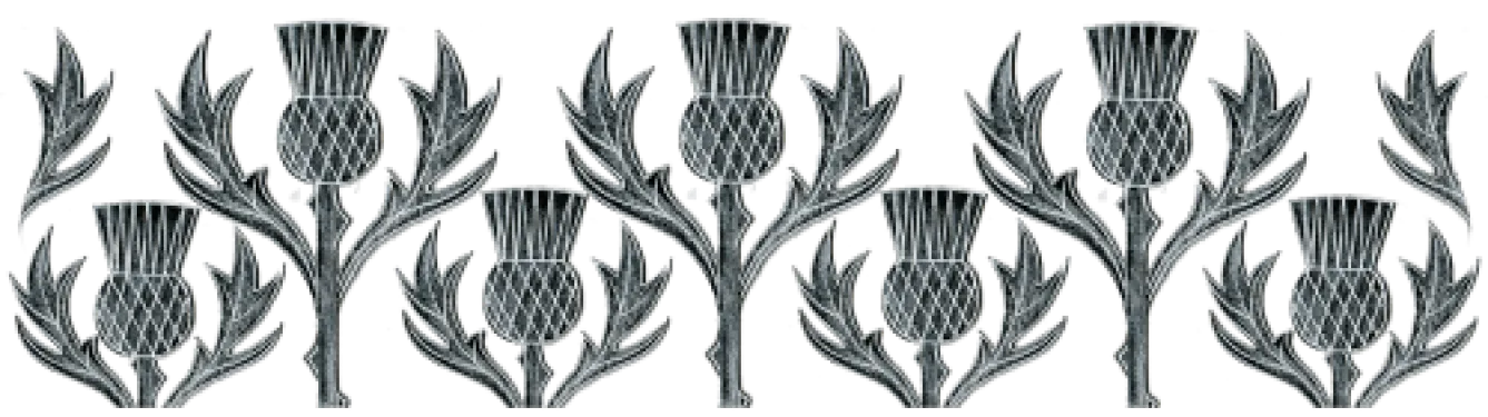 Moorland Pottery Thistle Mug by- Whimsical|Flowers & Garden