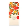 The Art File Tomatoes Lined Magnetic Pad- Stationery