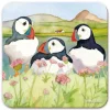 Emma Ball Trio Sea Thrift Puffins 2 Coaster- Coasters