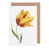 Laura Stoddart Tulip Blank Greetings Card- Greeting Cards