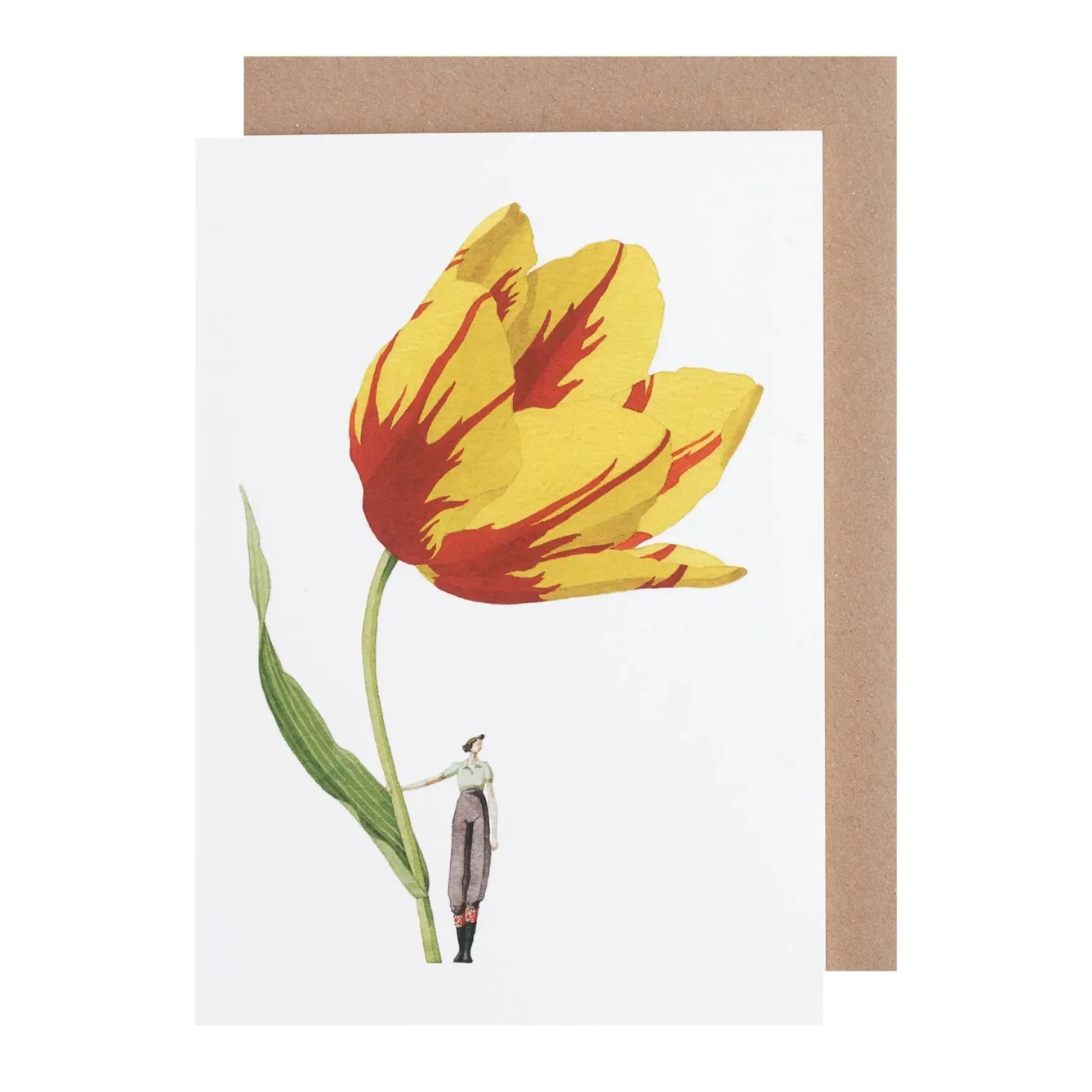 Laura Stoddart Tulip Blank Greetings Card- Greeting Cards