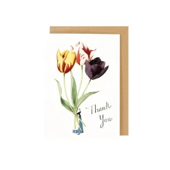 Laura Stoddart Tulips Thank You Card- Greeting Cards