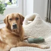 Sweet William Tweed Dog Bone Shaped Dog Toy - Green- Pets
