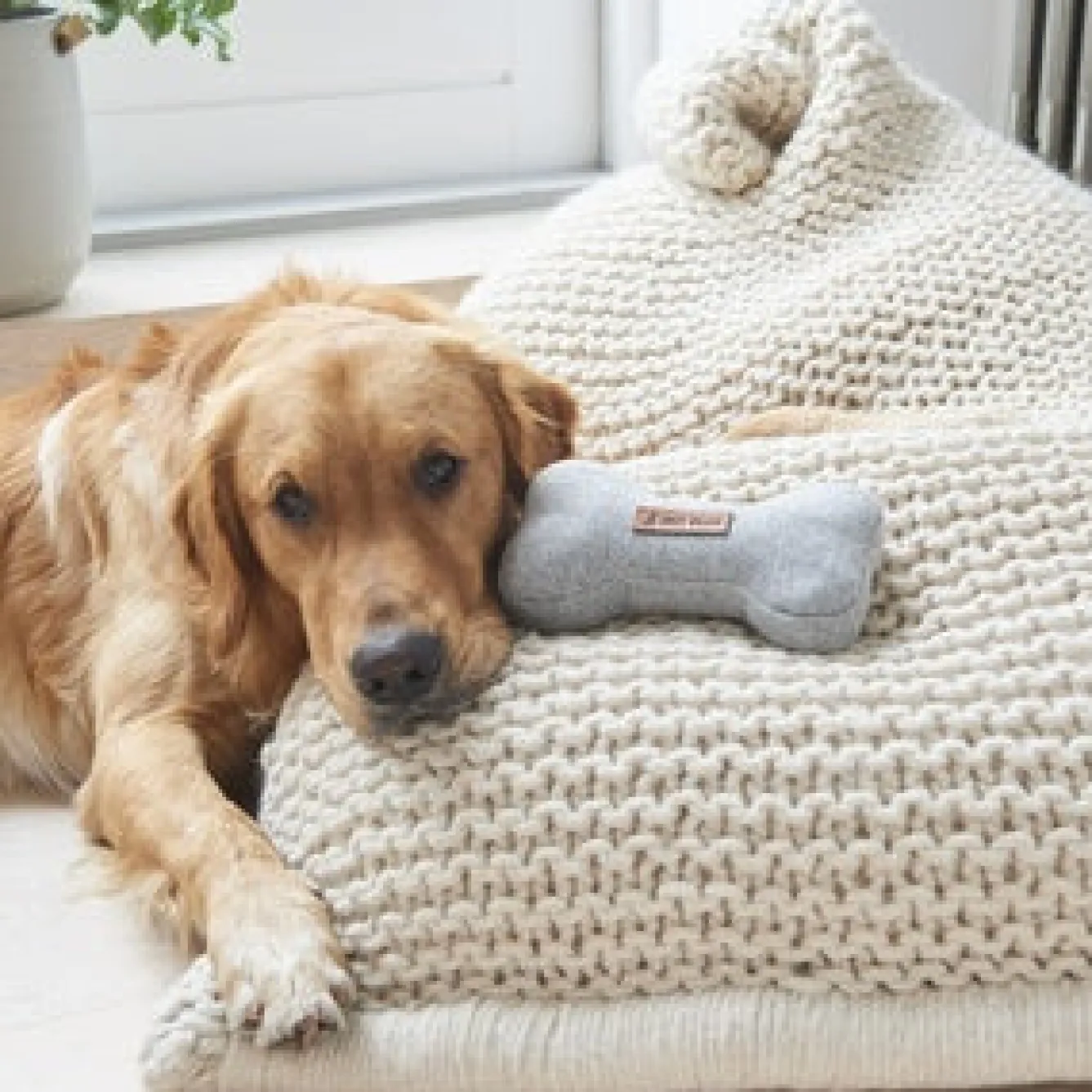 Sweet William Tweed Dog Bone Shaped Dog Toy - Grey- Pets