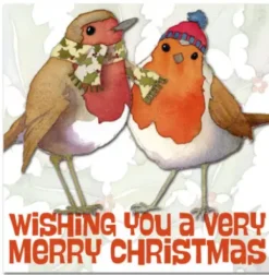 Emma Ball Two Robins Pack of 6 Christmas Cards- Christmas Cards|Christmas