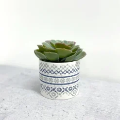 Alex Allday Victorian Tiles Ceramic Planter Pot/Tea Light Holder- Tea|Home Fragrance