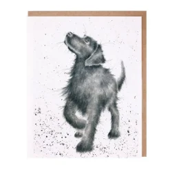 Wrendale Designs 'Walkies' Blank Greetings Card- Greeting Cards