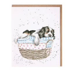 Wrendale Designs Wash, Dry, Fold, Repeat Greetings Card- Greeting Cards
